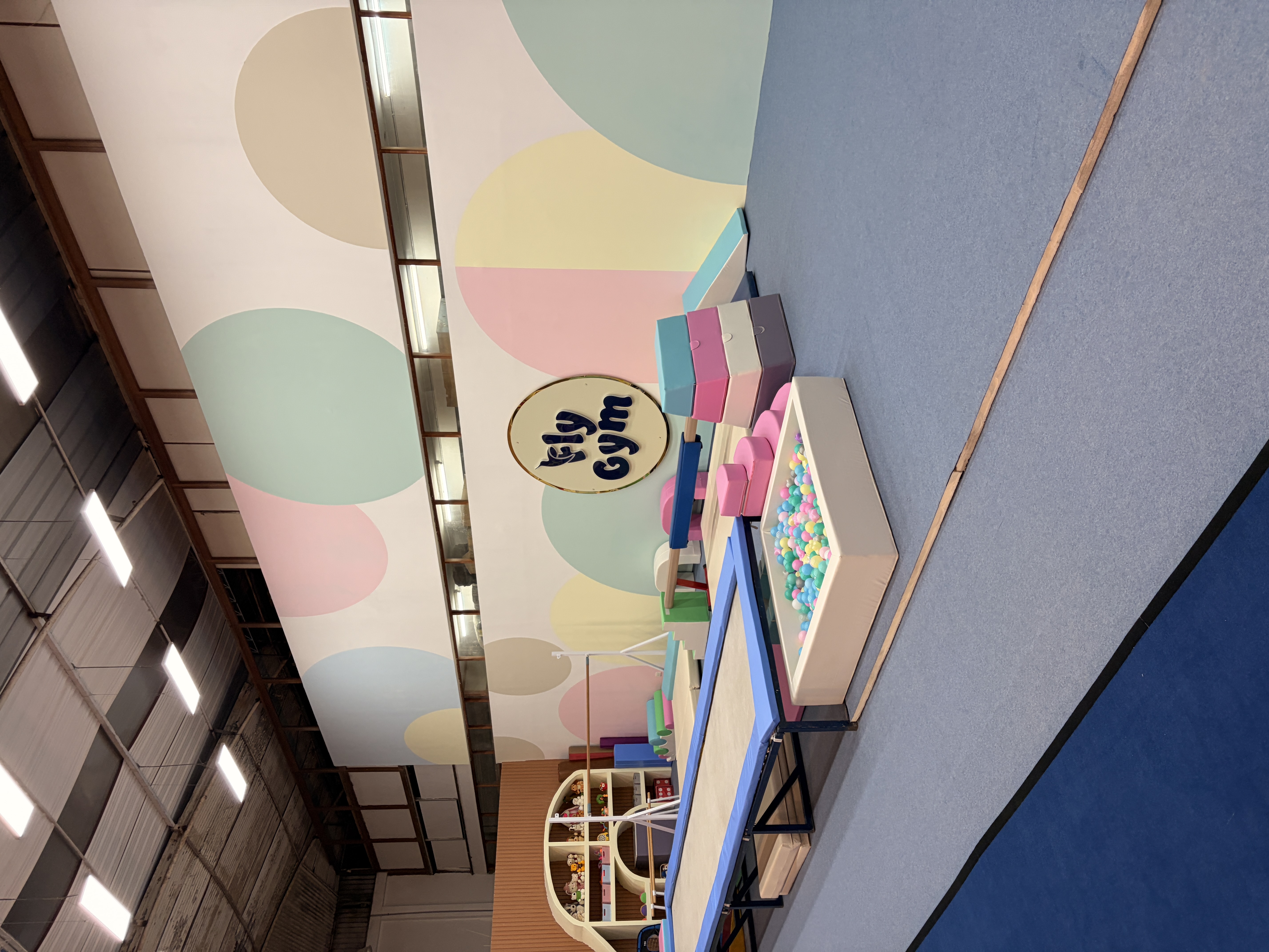 Área principal de gimnasia de Fly Gym